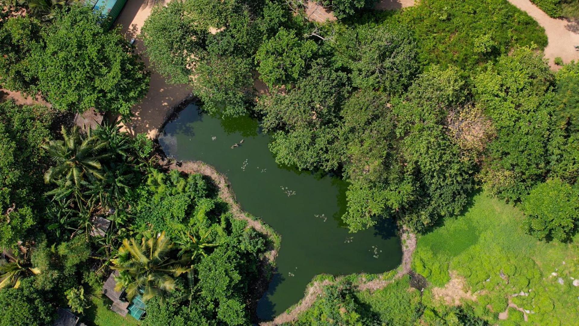 Pegasus Reef - A Beach Resort In Colombo Ватала Екстериор снимка